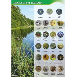 121 Ekosystem jeziora