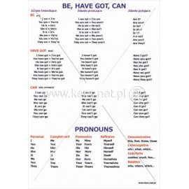 339 Be, have got, can, pronouns