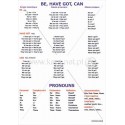 339 Be, have got, can, pronouns