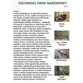563 Ojcowski Park Narodowy cz. 2