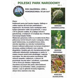 564 Poleski Park Narodowy cz. 1