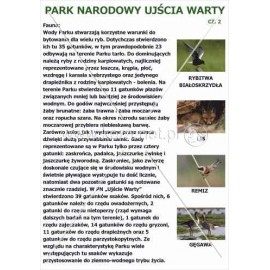 569 Park Narodowy Ujścia Warty cz. 2