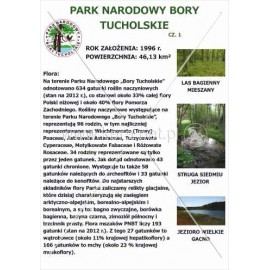 570 Park Narodowy Bory Tucholskie cz. 1 