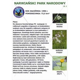 576 Narwiański Park Narodowy cz.1