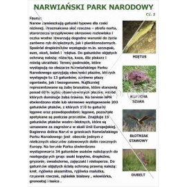 577 Narwiański Park Narodowy cz.2
