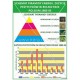 1686 Schemat piramidy energii. Zużycie pestycydów w rolnictwie Polski 1985-93