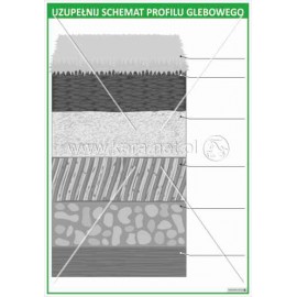 3010 Uzupełnij schemat profilu glebowego
