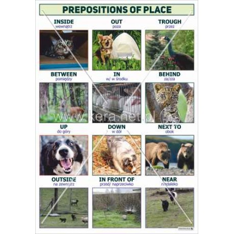 3079 Prepositions of place