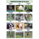 3079 Prepositions of place