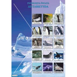 3165 Zwierzęta Świata - Antarktyda