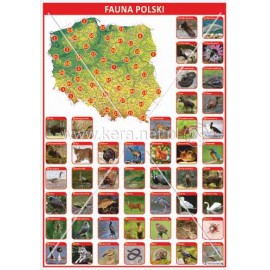 3179 Fauna Polski
