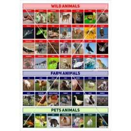 3352 Wild animals, farm animals, pets animals