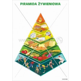 586 Piramida żywieniowa